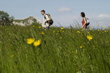 France-Provence-Walking in Provence